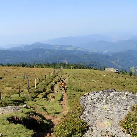 Курортный комплекс Panoramadorf Saualpe 3*