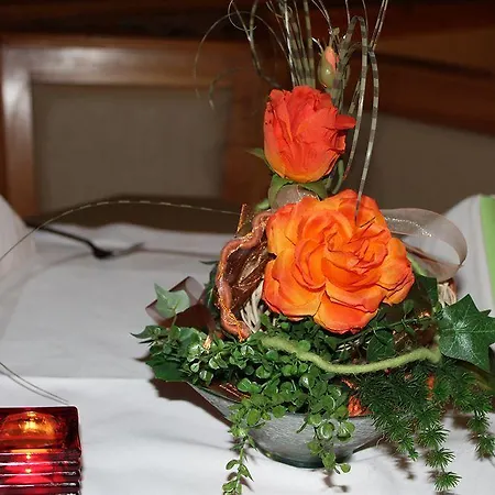 Semesteranläggning (resort) Panoramadorf Saualpe Eberstein