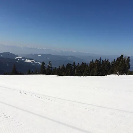 Курортный комплекс Panoramadorf Saualpe