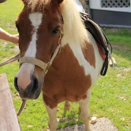 Panoramadorf Saualpe 3* Eberstein