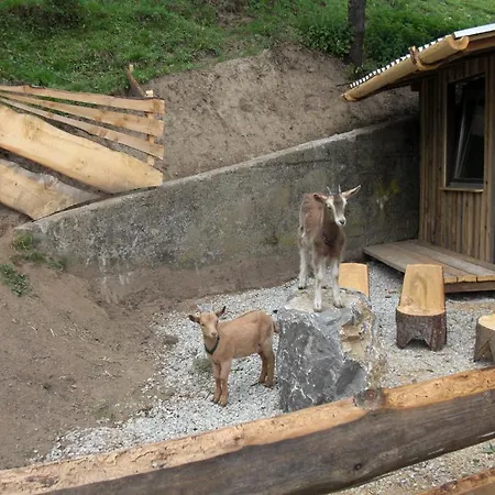 Panoramadorf Saualpe Курортный комплекс 3*