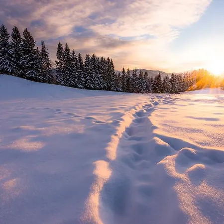 Panoramadorf Saualpe Semesteranläggning (resort) Eberstein