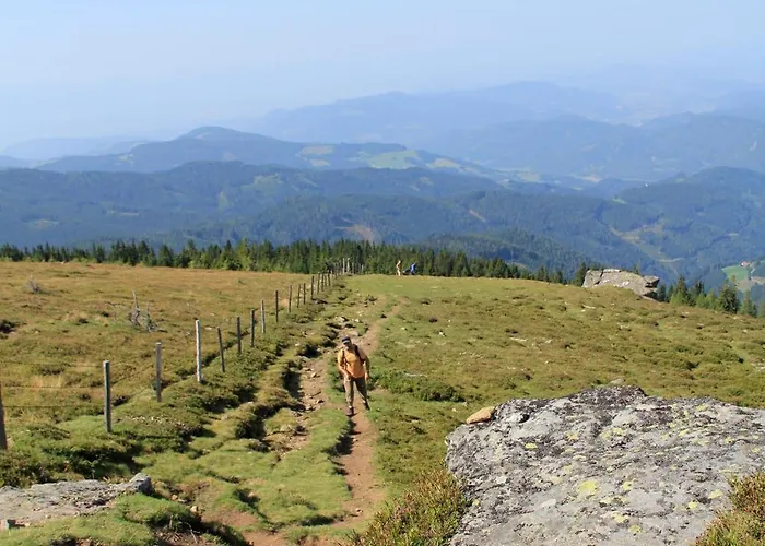 Курортный комплекс Panoramadorf Saualpe 3*