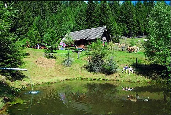 Panoramadorf Saualpe 3* Eberstein