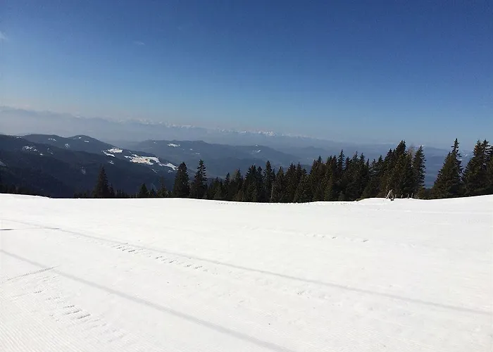 Resort Panoramadorf Saualpe