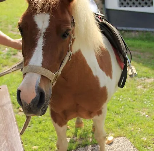 Panoramadorf Saualpe 3* Эберштайн