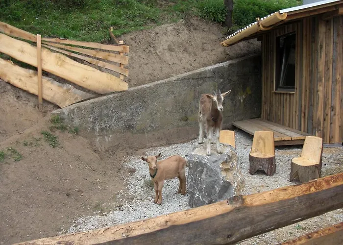 Panoramadorf Saualpe Курортный комплекс 3*