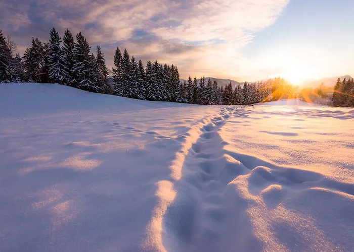 Panoramadorf Saualpe Station touristique Eberstein