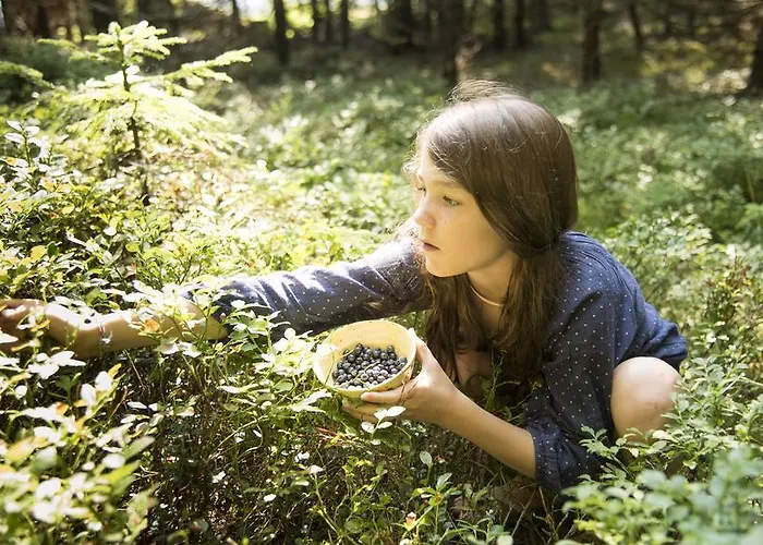 Panoramadorf Saualpe 3* Эберштайн